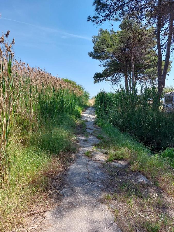ホテル La Dimora In Riva Al Mare ヴィエステ エクステリア 写真